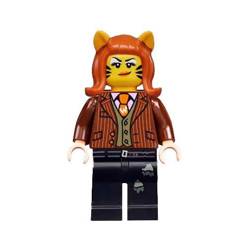 71946527029794789900267572025294951371998418751885670326679076407976612855809