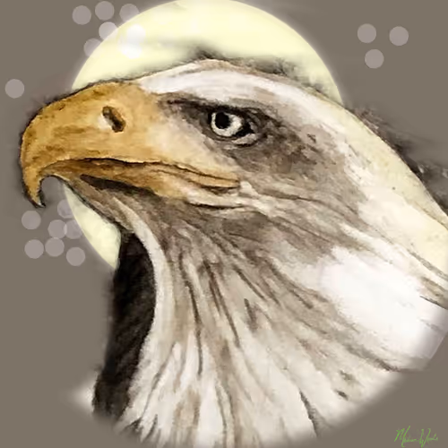 Item #52602733698061998919098162998524005222518208816265270304473996162205076160513 Media