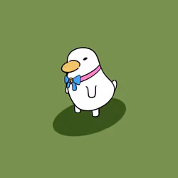 Kook Kak #04