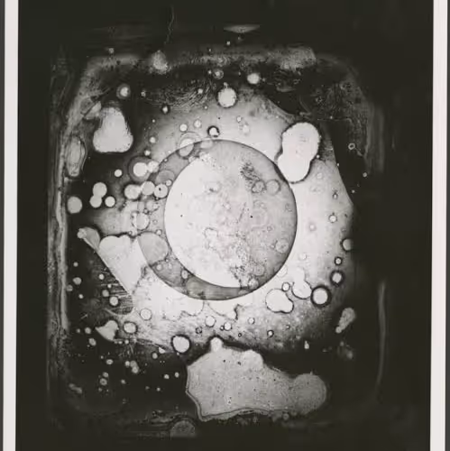 Untitled Collection #198672649