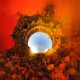 The Scarlet Veil
