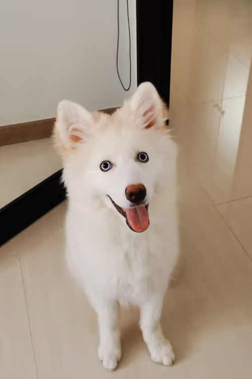 Item #11589634007344310346073007191394288969191527375593807410073591601615983345665 Media