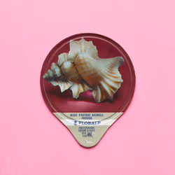 27065433399798513063572216385165001462181889982088416465869946568523267440641