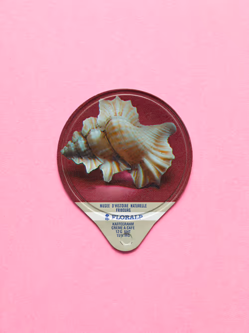 Item #27065433399798513063572216385165001462181889982088416465869946568523267440641 Media