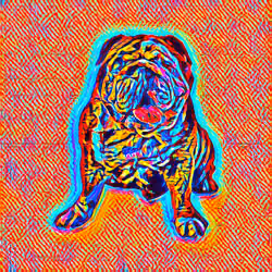 PigDogLucky#1049
