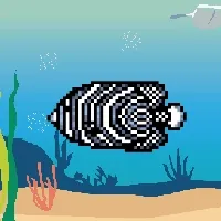 Etherfishing