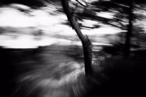 Item #38495668349306452240688866721683925223246116077147746545727998350248955084900 Media