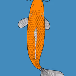 Koi #08