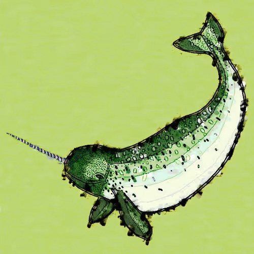 Item #20811771214999624706423708235368186368757045642984442080114778440212240400385 Media