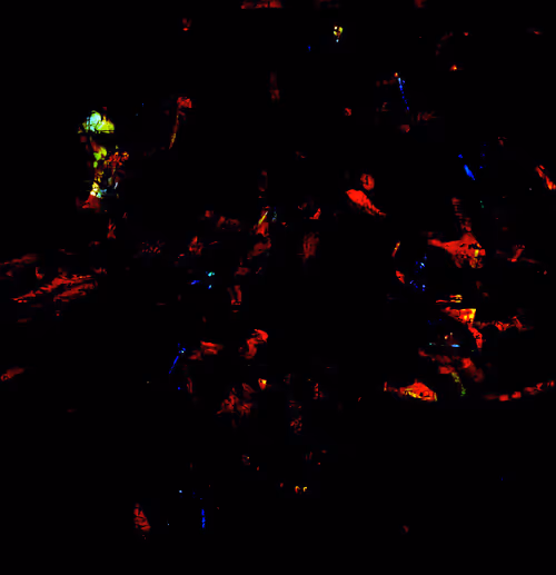 Item #66739732404196370199565632626747990796008273962461566573350577526177378861057 Media