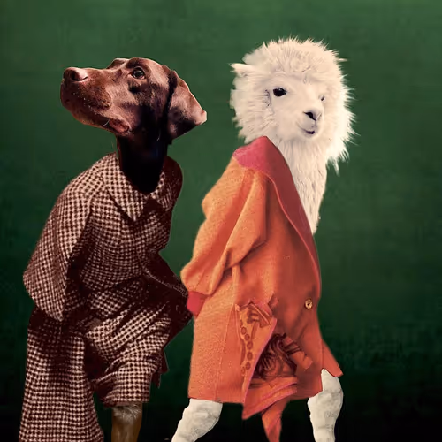 Item #31007335220443660226023163579287361352100797952685342570498605074463594643457 Media