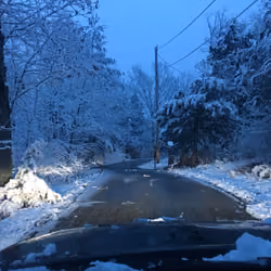 Snowy Drive