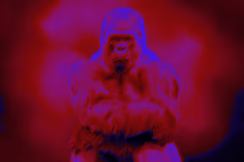 Item #37771705042607633984215485442696248406020579018981637919666644980423679016961 Media