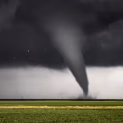 46154160826271547341634704556143841503597126410650149385483954187651667460097