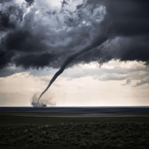 OG Editions by The Dreadlock Traveler