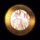 Kanuka Coin - Gold
