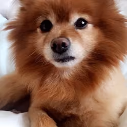 Photo Shoot Winnie