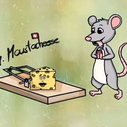 Mr.MoutacheeseNoRiskNoFun