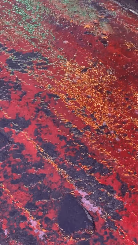 Item #62402000334580523921237358418718502457721815832787791947048085112277667151873 Media