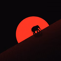 5 "lonely elephant"