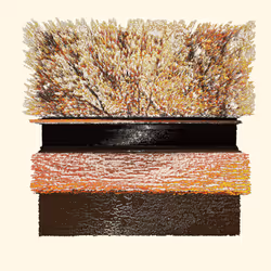 68981925815088345218279679333044734296787607330307738297545738765197786480641