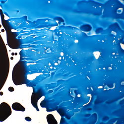 9251341193756129610411101804839683921415719585297066577807806967805821059073