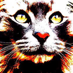 23538819986925566434507765811444276093104658907602947149672917488942975025153