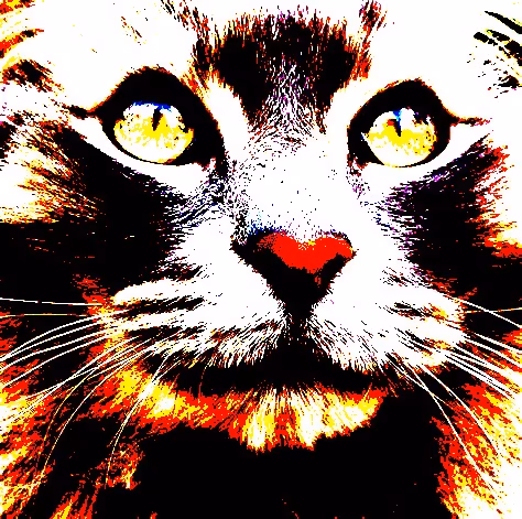 Item #23538819986925566434507765811444276093104658907602947149672917488942975025153 Media