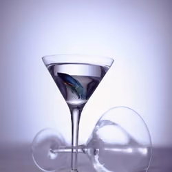 Cosmo