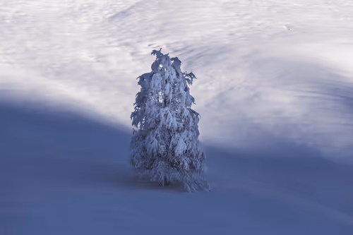 Item #82038507178112004707132471695972498506825775528903589266831690708456669446145 Media