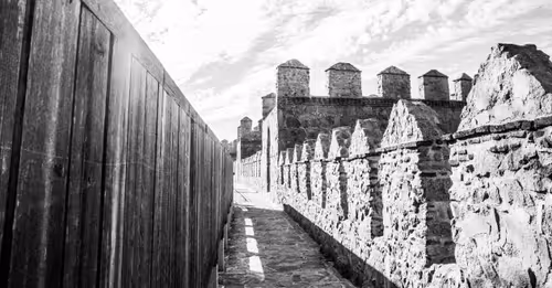 Item #87092990260447267838744578330374476785020899117585411719574779676706983641089 Media