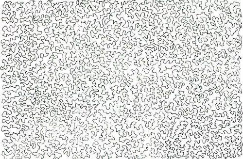 Item #56231055166534768819260761756004250554455450585187543117911899965017812893697 Media