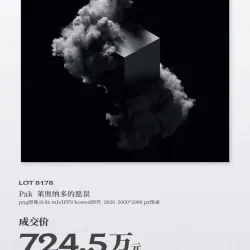 Pak-Leonardo’s Vision-￥7.245M