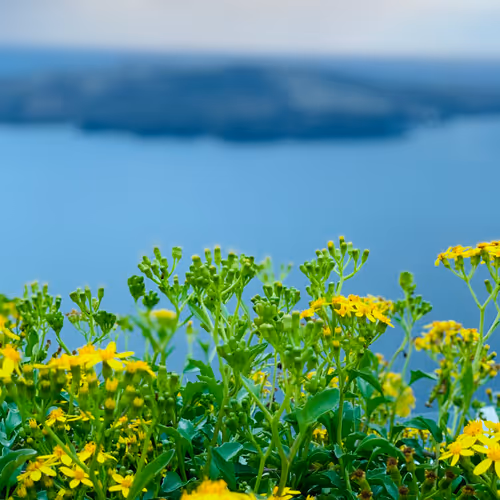 Untitled Collection #102555039