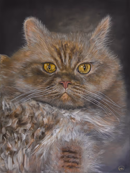 Item #38688441416241513321693239568754100771017925091913341062254327215890448252929 Media