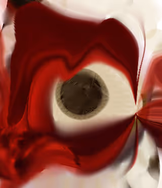 eye