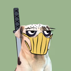 Aito_The_DOG #LeNinja