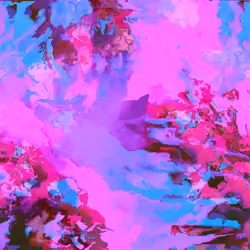 Fall of Cherry Blossom in Long Shadows of Twilight