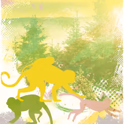Zodiac/Monkey