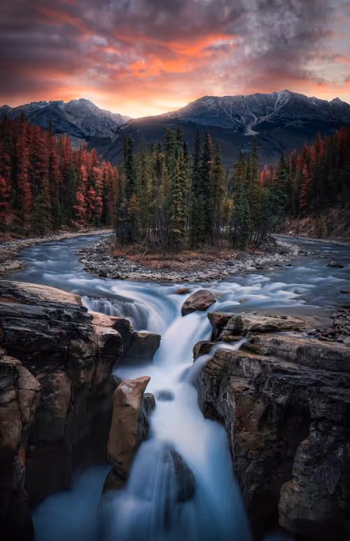 Item #41009738332027091854684162970670920477629740531182811736412022307208994750484 Media