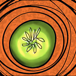Green Kiwi