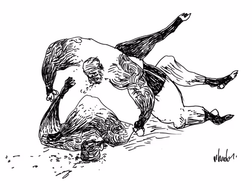 Item #87043191752969868956033485291234168825539198761210086357082578161105274667009 Media