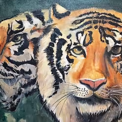Twin Tiger