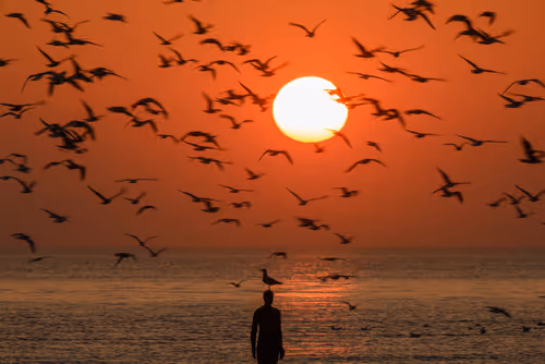 Item #96661707284894299444635219906598425654694917167299737376541026848386257518593 Media