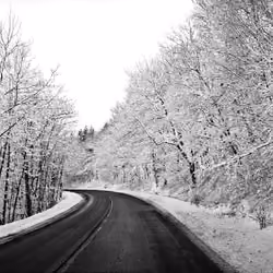 Frozen curve 