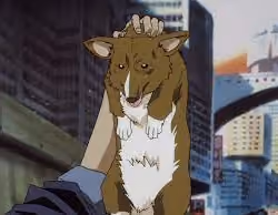 Ein Held up