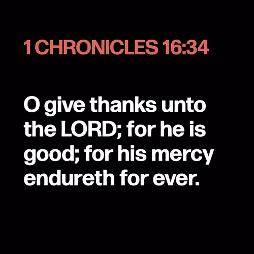 Item #22053356606985035317572807567829034573317121579682343289603645293439509069825 Media