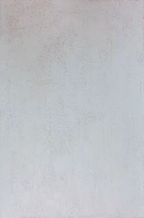 Item #84908863190943824936340357741802764049643432958499460467715638064625083219969 Media