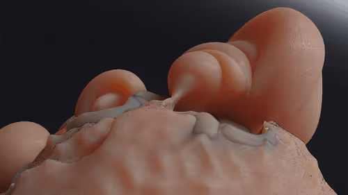 87858548873057691610145785827924316116903784724900626045837508997009146642437