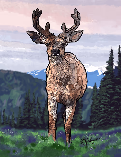 Item #27193563482882522542439939713459761912672392428874250881535280930339413819398 Media